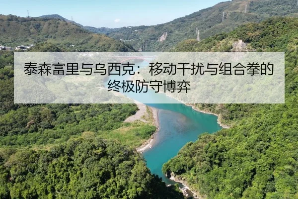 泰森富里与乌西克：移动干扰与组合拳的终极防守博弈