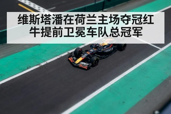 维斯塔潘在荷兰主场夺冠红牛提前卫冕车队总冠军